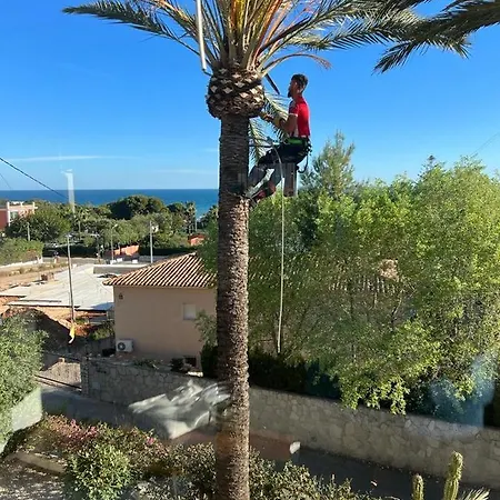 Beautiful Overlooking Beach.